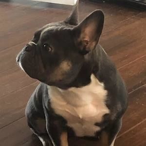 Meet your Posher, Le ann